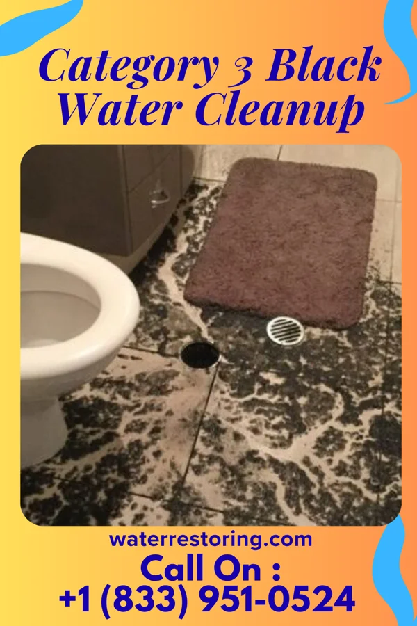 Category 3 Black Water Cleanup in Gleneagle, CO